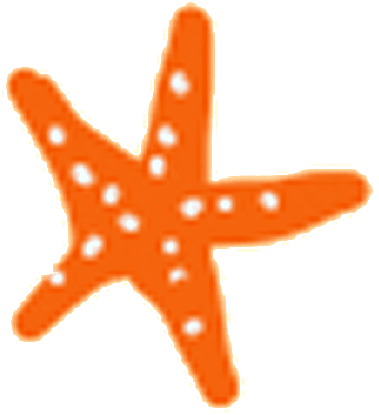 Orange Starfish